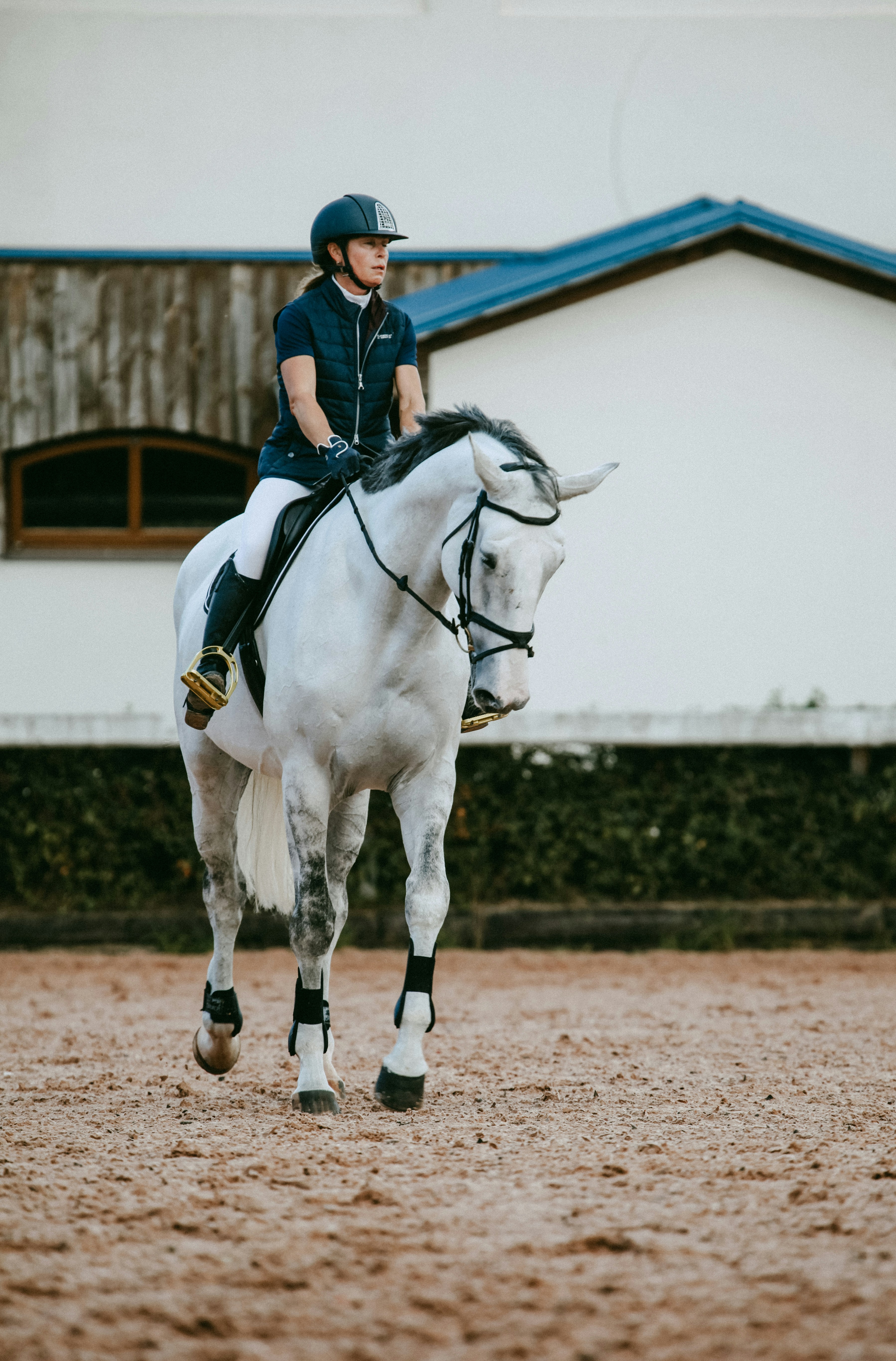 FAQ – Hesteadvokaten